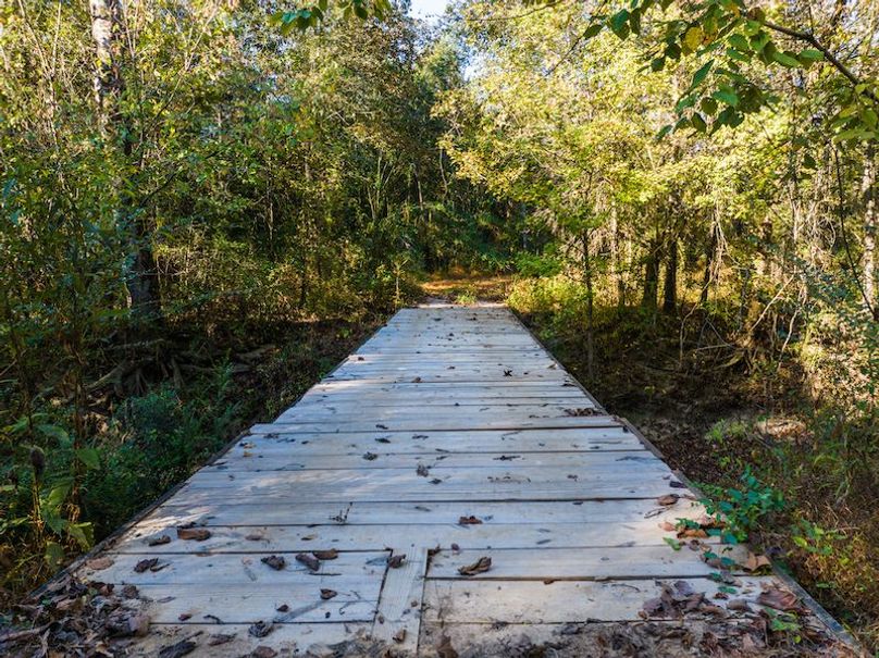 Clay 302.7 Henderson-41