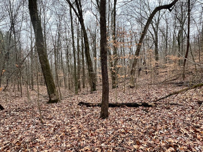 Stunning Wooded Acreage With Home And Outbuildings Adjoining Hoosier