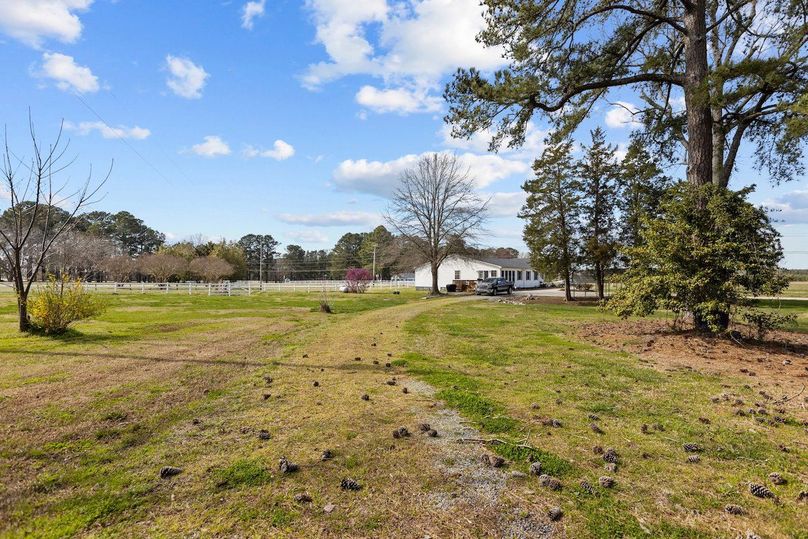 43-web-or-mls-IMGL0796