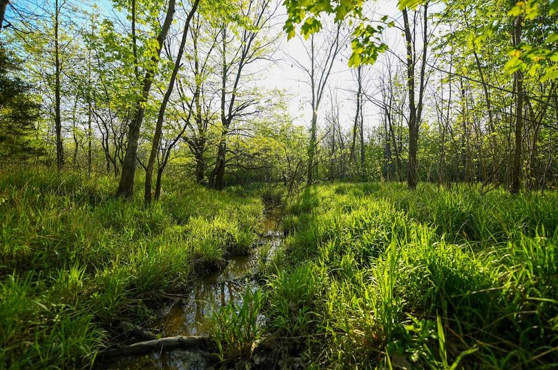 vandalia 450 (2)-3000