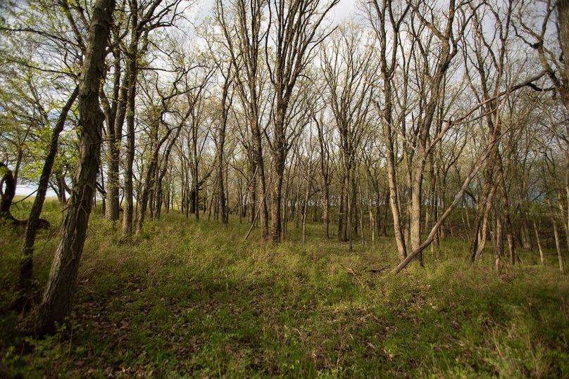 MONTGOMERY CO IA. 156.78_74