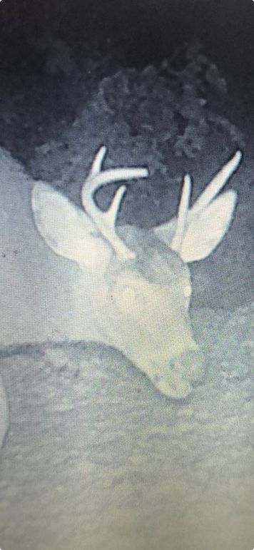 Screenshot 2025-09-24 at 11.37.58 AM