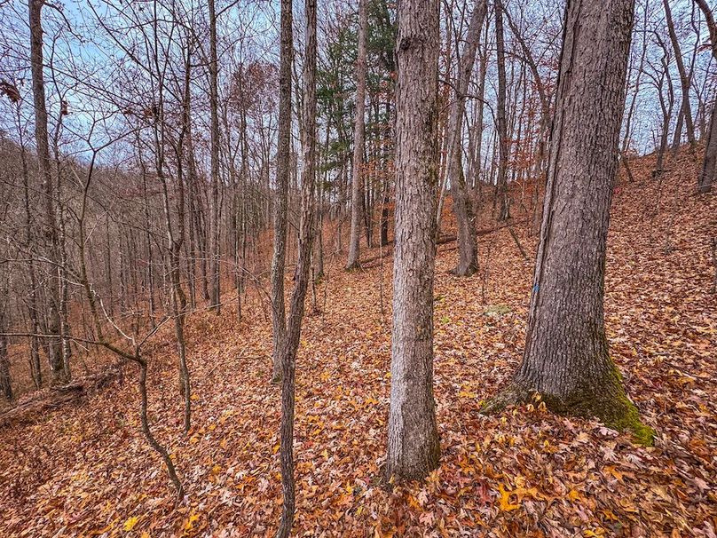 Ritchie, WV 15.5 AC Harper-12