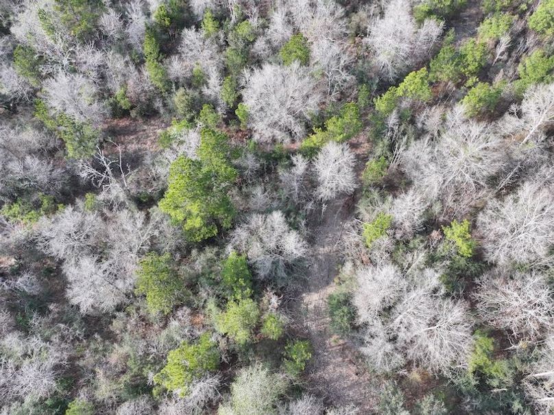 dji_fly_20260212_141248_0070_1771284238314_photo