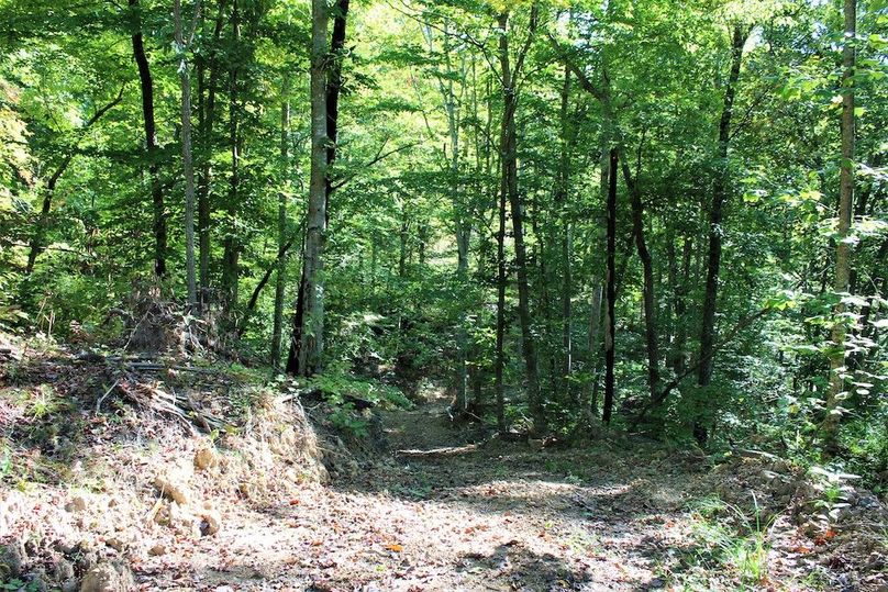 024 some of the good trails leading about the property