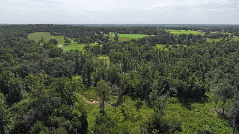 Copy of 56-DJI_20250710110304_0052_D