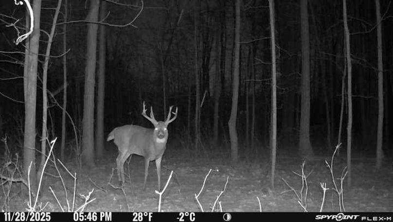 Copy of C42DD425-B61B-45F4-AECA-7CBBCFD1CDDC