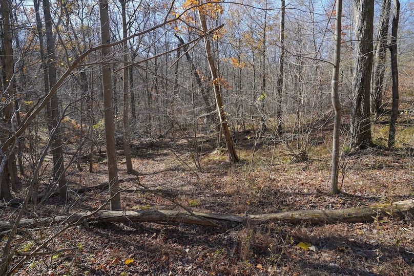 Somerset, 10.91, Tinkey-20