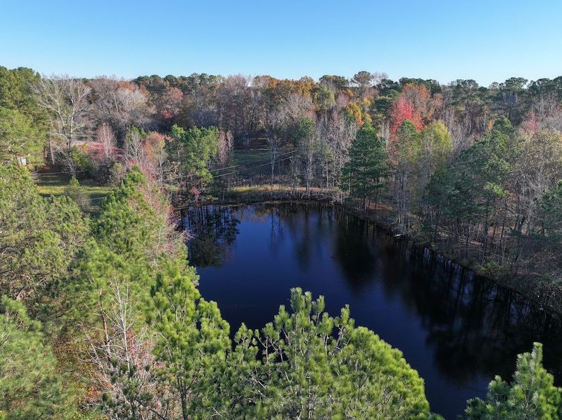 Copy of DJI_20241124091424_0235_D