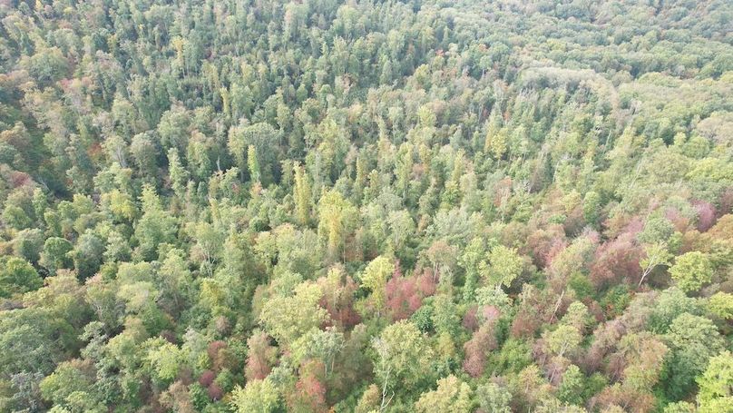 dji_fly_20240919_100956_683_1726755199651_photo