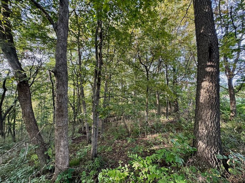 Richland 199Ground - 41