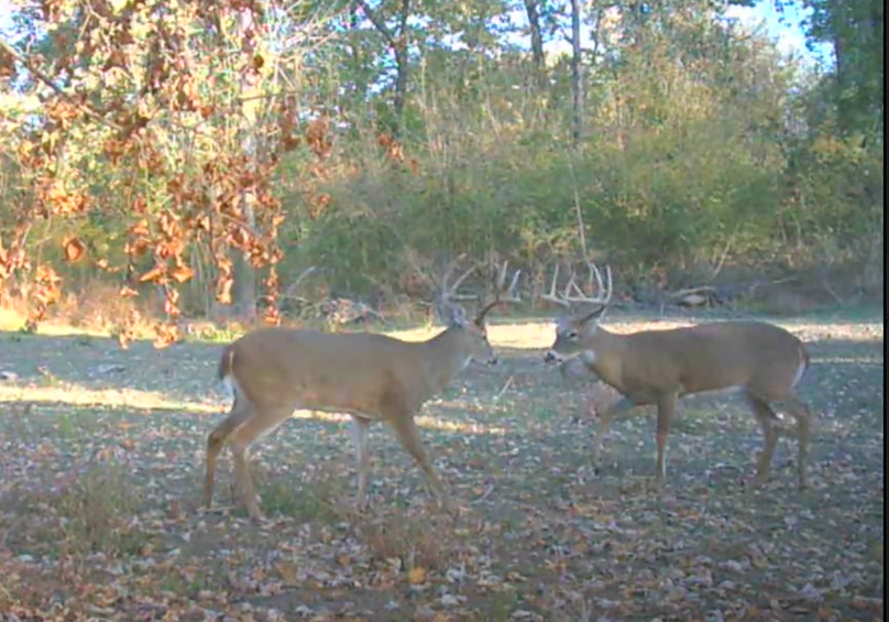 Screen Shot 2024-01-22 at 6.16.17 AM