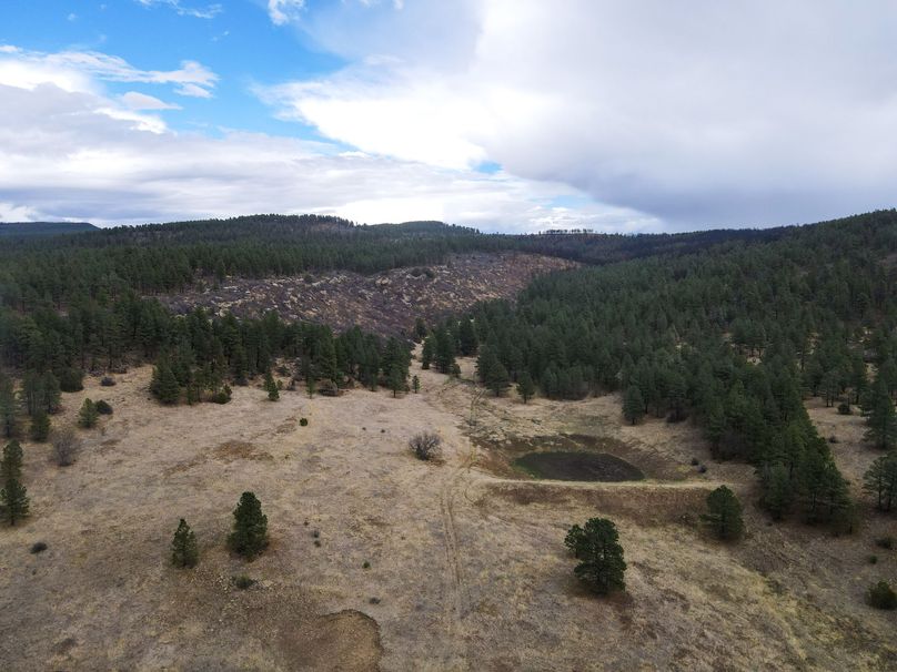 dji_fly_20230515_151802_724_1684185607760_photo