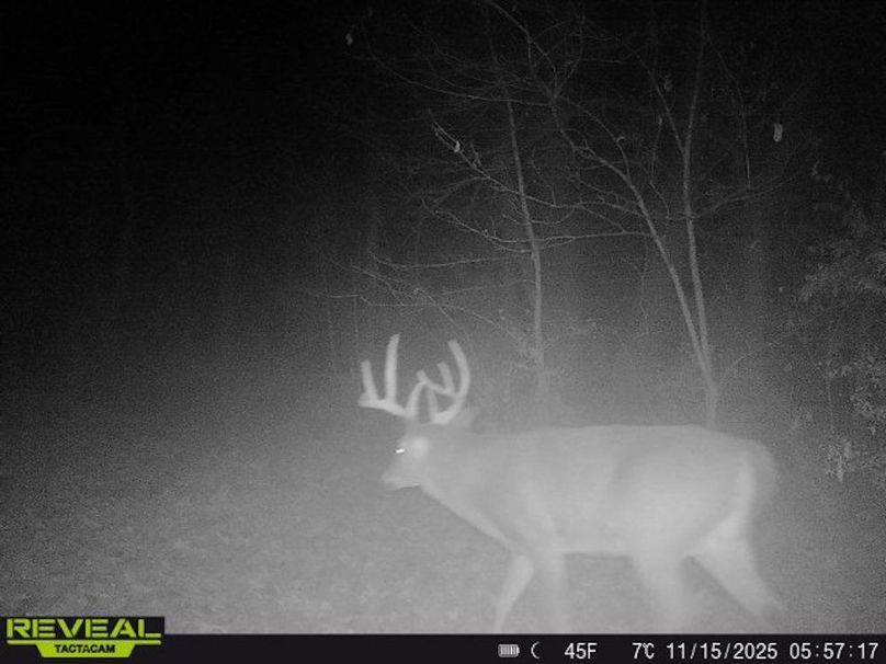 Copy of Trail photos.40