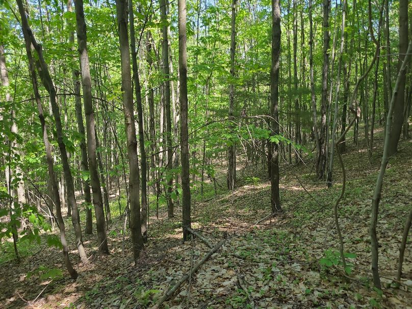 photo_a2386259-7ce0-43c9-a296-78d13c74b139