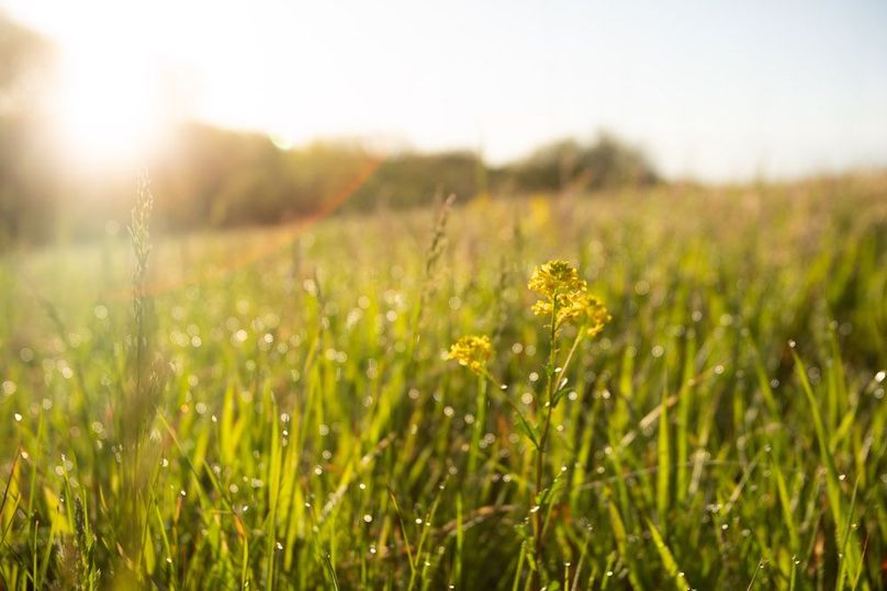 MONTGOMERY CO IA. 156.78_56