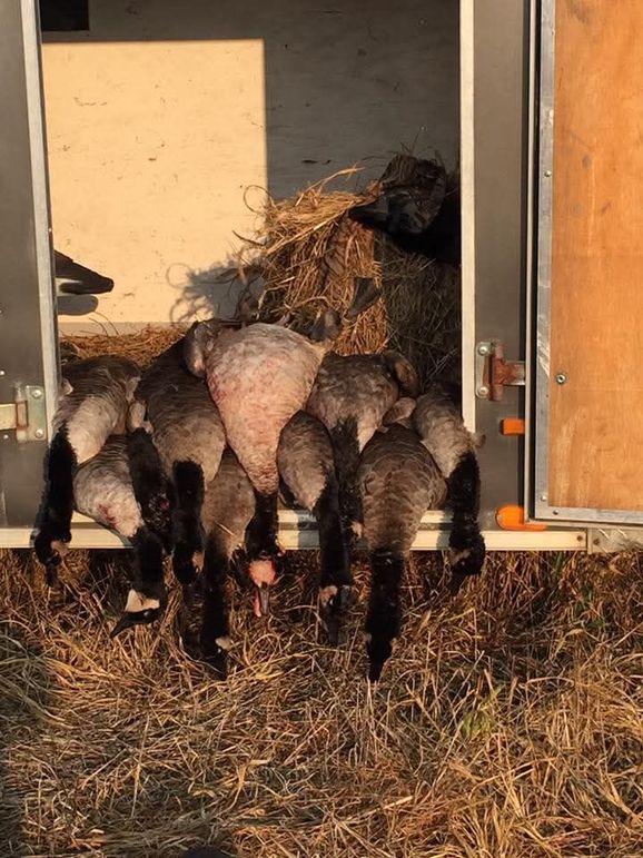 FB_IMG_1757125267579