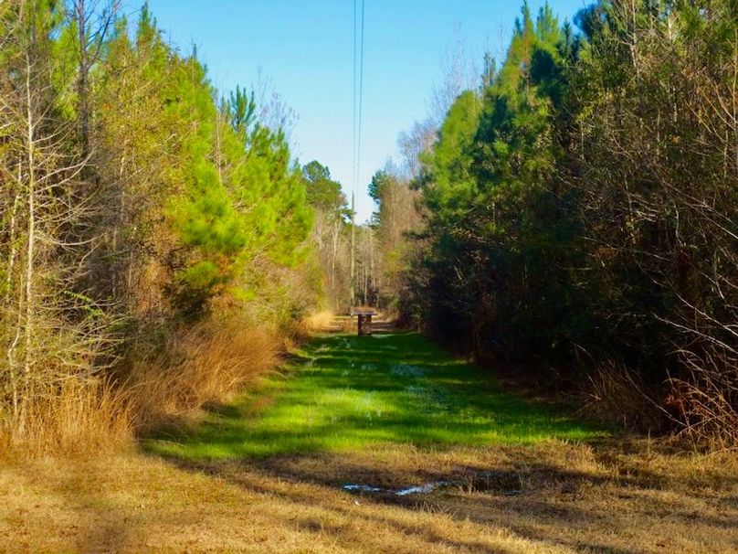 9A81E01D-906C-42F1-9E48-686A8765F635_1_105_c