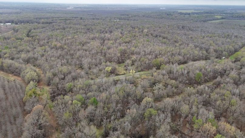 DJI_20260310013359_0026_D