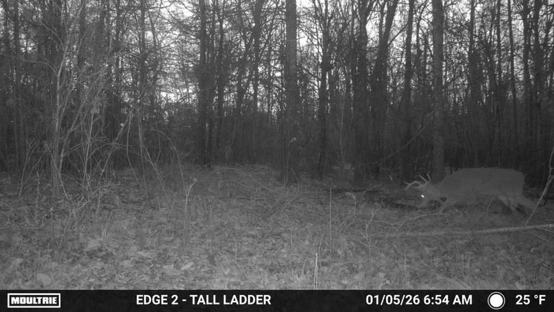 2848710-20260105125458-100MFCAM_MFDC1823