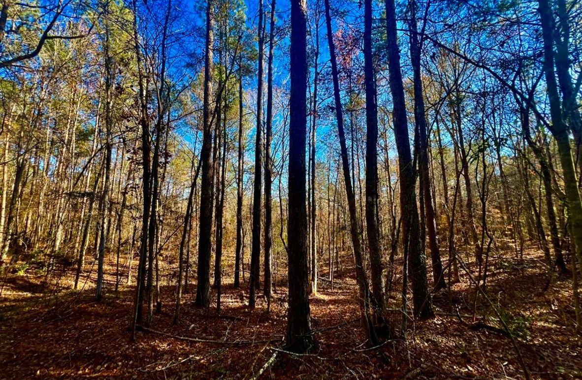 1DC7155D-81D7-46FD-B76C-8AA2EC66C881_1_201_a