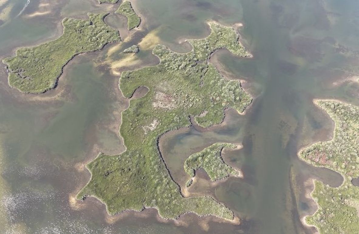 17.17ac, Citrus, Josiah Ronco02