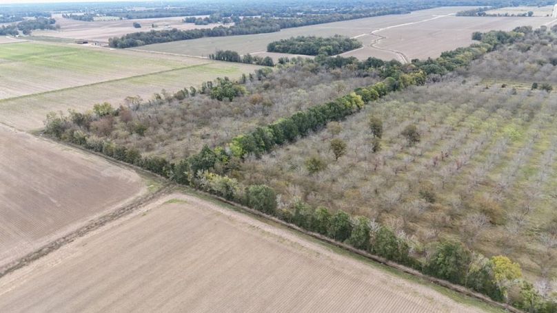 dji_fly_20251107_043208_0035_1762484045761_photo