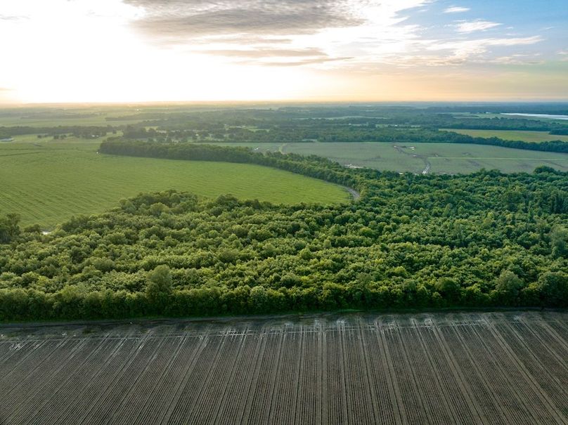 Copy of Noxubee 112.1 +- Tract 1-18