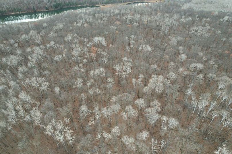 dji_fly_20251104_161026_10_1762294523828_photo