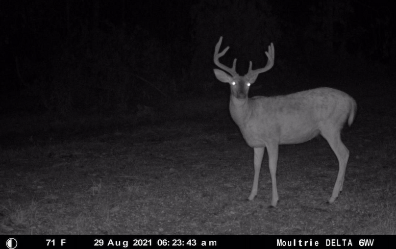 Screenshot 2023-07-27 at 9.57.37 PM