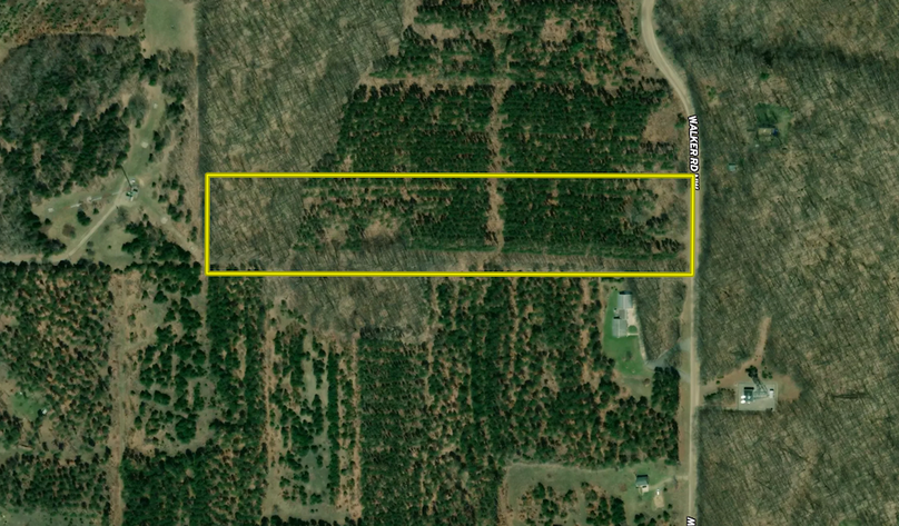 Aerial001_Kalkaska_13.05_Evergreen