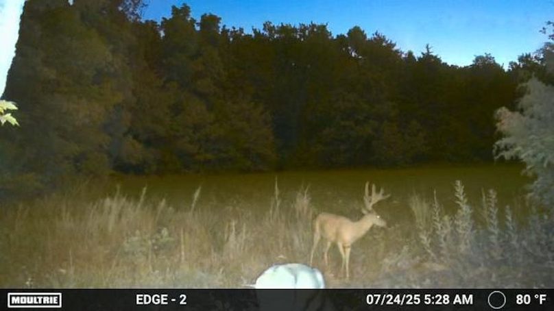 Temp_2017840-20250724102908-100MFCAM_MFDC1000