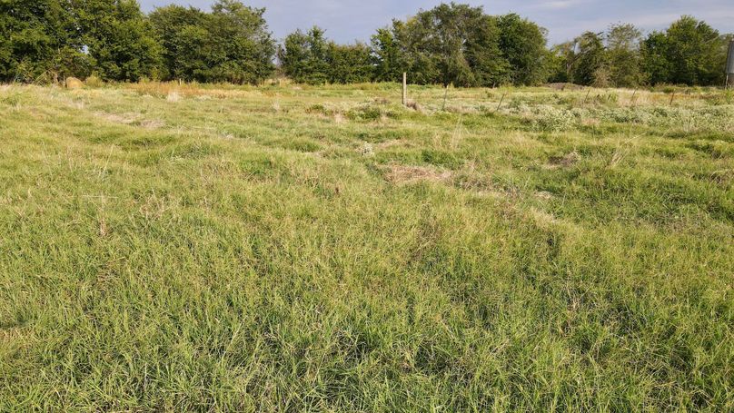 dji_fly_20230916_173328_152_1694903623020_photo