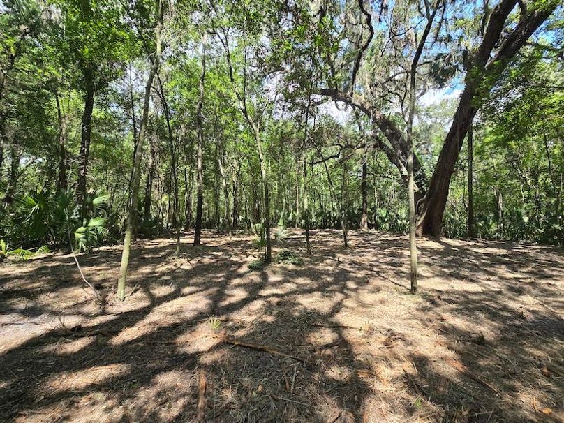 1.01ac, Citrus, Josiah Ronco15