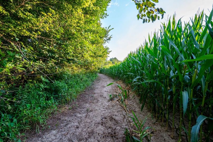 Copy of DSC06230 Large