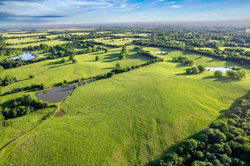 Fannin County- 134.4 acres-18