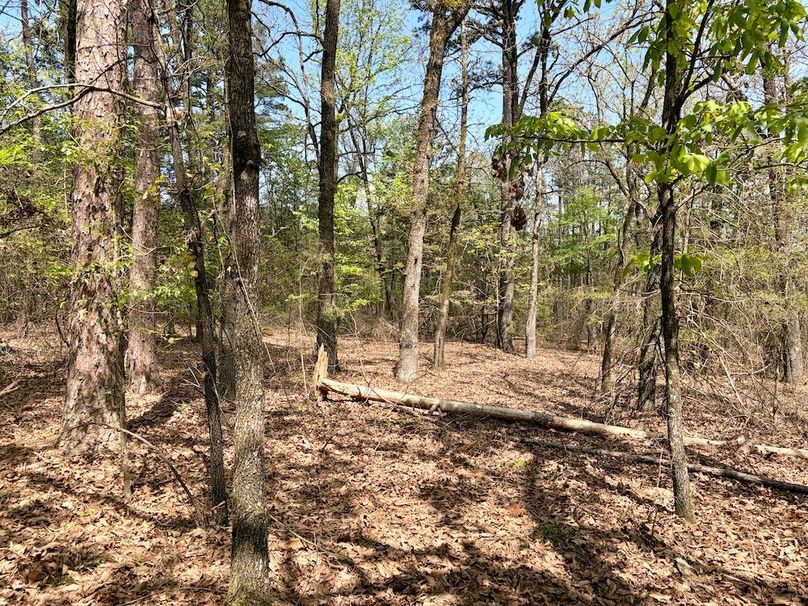 25BB5930-87C3-4D16-BFC8-763E84AEFD59_1_201_a