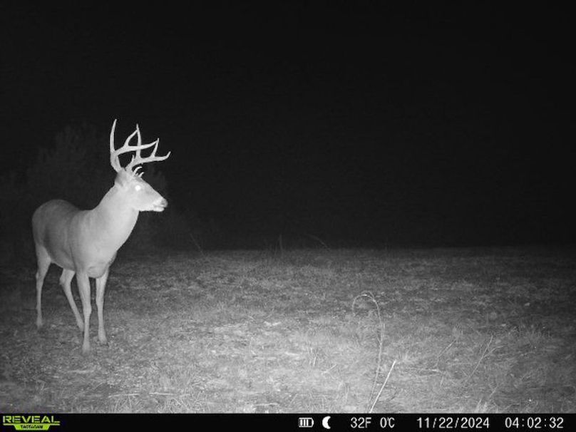 Clay 17 Snyder-45