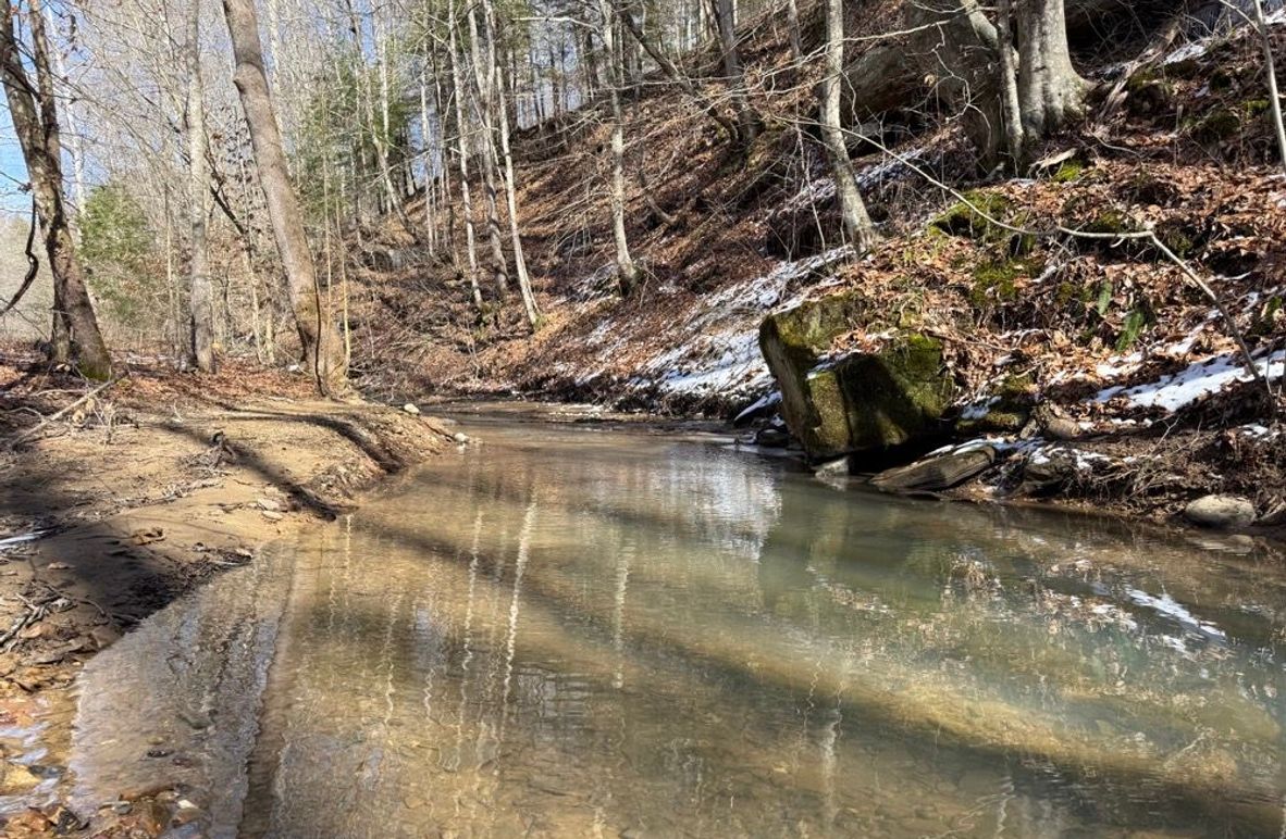 001 view of Laurel Fork in the upper reaches along the northeast area of the property