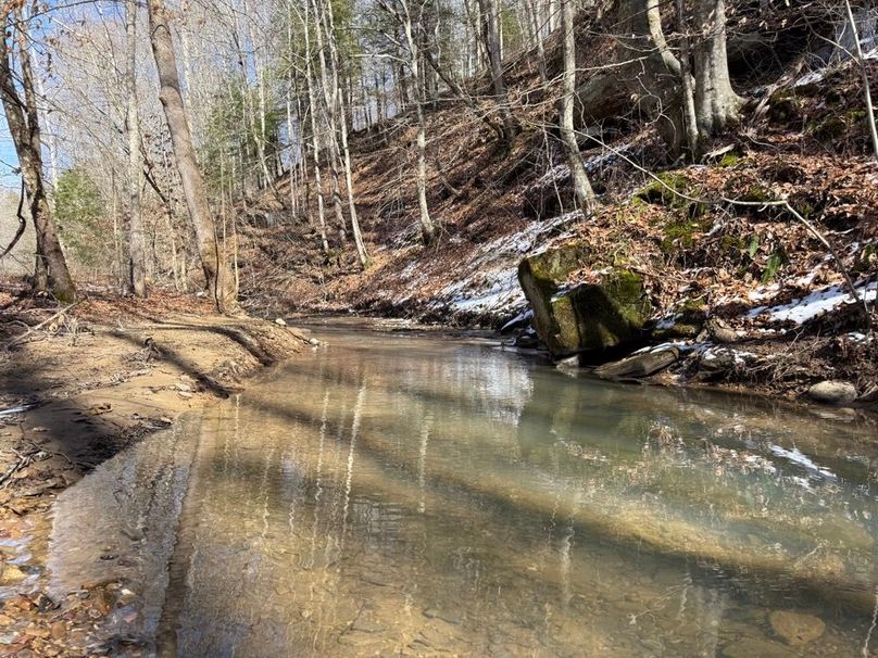 001 view of Laurel Fork in the upper reaches along the northeast area of the property
