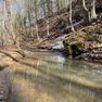 001 view of Laurel Fork in the upper reaches along the northeast area of the property