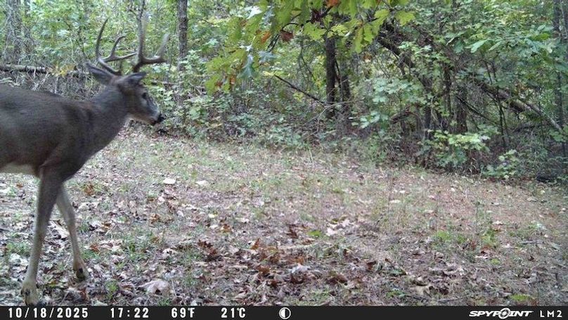 Spypoint_20251107_060507