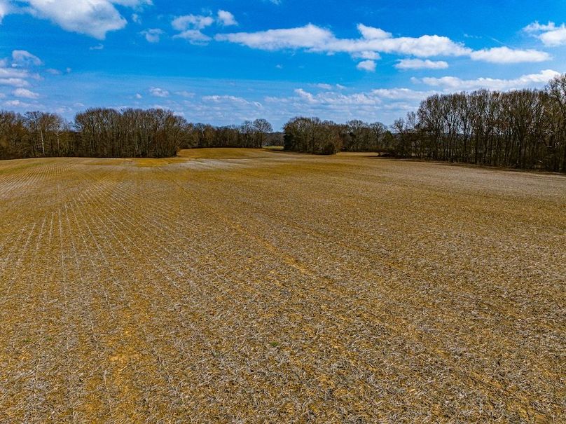 Gibson County Tract 1-07