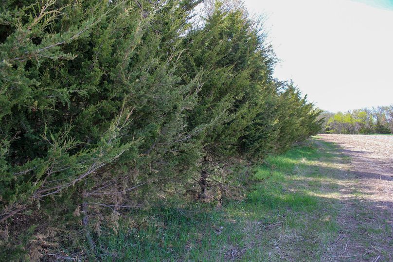 Washington, Co, 81.9_055