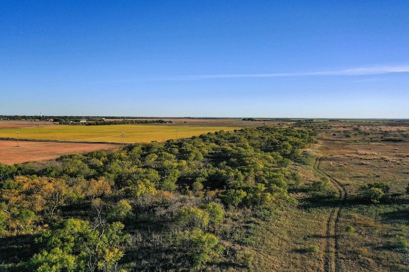 org_9bafee727ca6733b_1762731936000