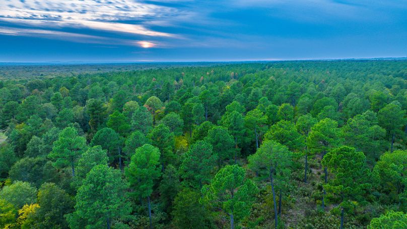 7 Upshur Co 603 ac Weise