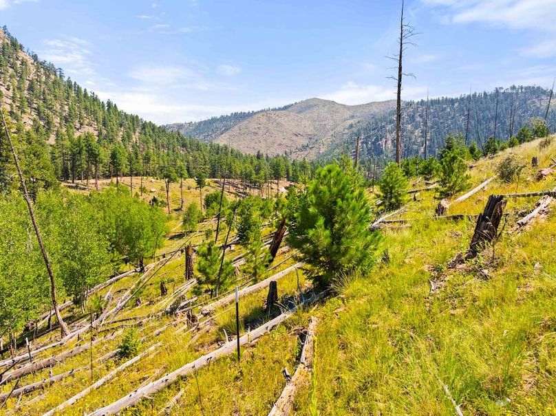 DJI_20250813111743_0065_D_1