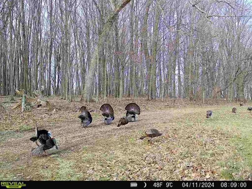 Trailcam - 16