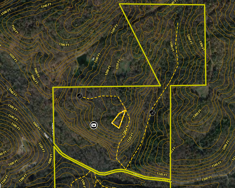 Screen Shot 2023-02-28 at 11.51.06 AM