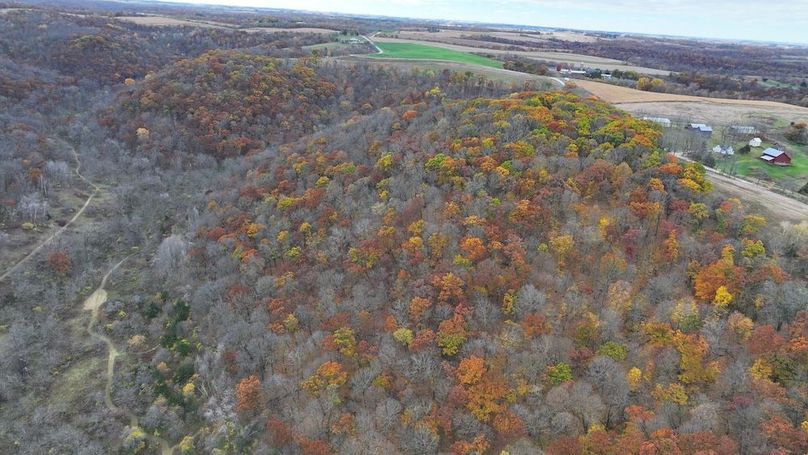 DJI_20241023110453_0154_D
